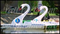Imagine atasata: Bega-Blvd-BBT-Mai-2012-25.jpg